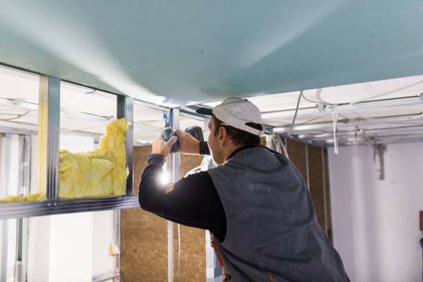 Best Commercial Insulation in Summerfield, MD